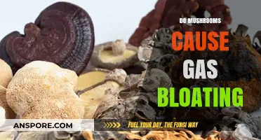 Mushrooms: Gas and Bloating Culprits?