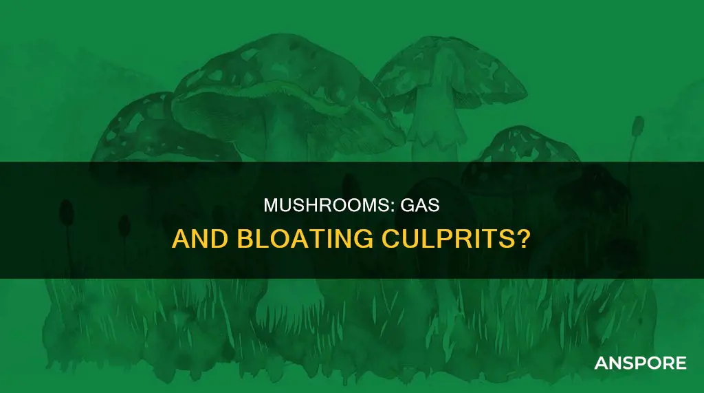 do mushrooms cause gas bloating
