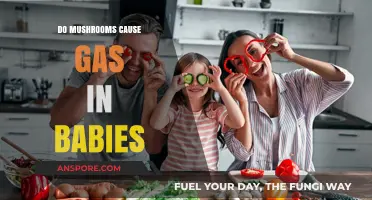 Mushrooms and Baby Gas: Understanding Digestive Reactions in Infants
