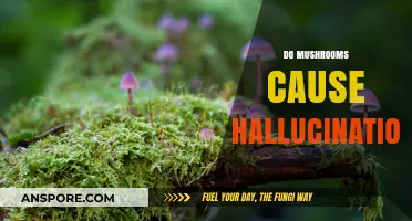 Mushrooms: Hallucinations and the Science Behind It