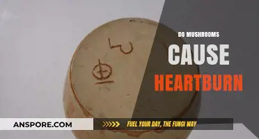 Mushrooms: Heartburn Trigger or Healthy Treat?