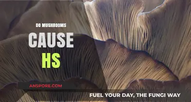 Mushrooms and HS: Is There a Link?