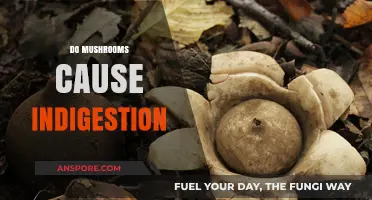 Mushroom Consumption: Indigestion and You