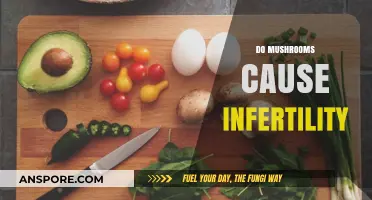 Mushrooms: Infertility Risk or Myth?