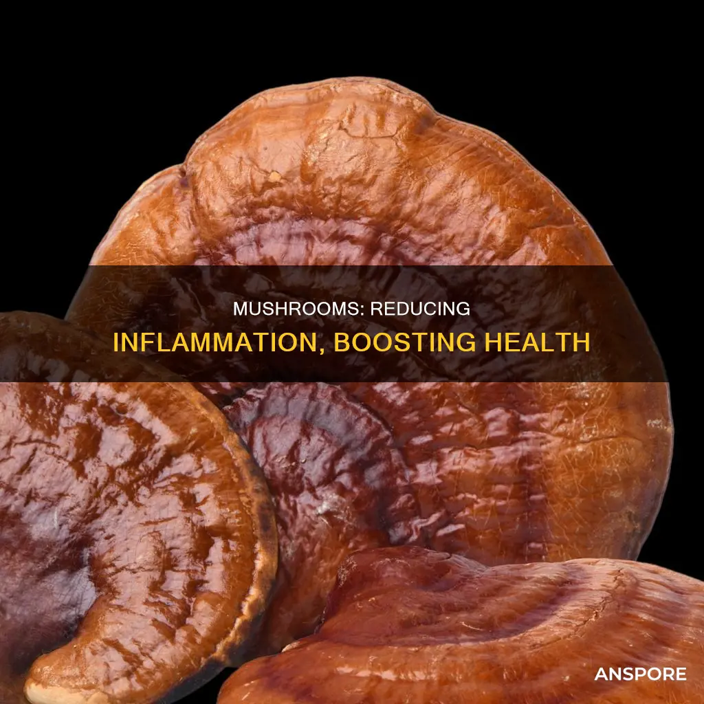 do mushrooms cause inflamation