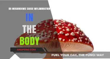 Mushrooms and Inflammation: Debunking Myths About Their Impact on Health