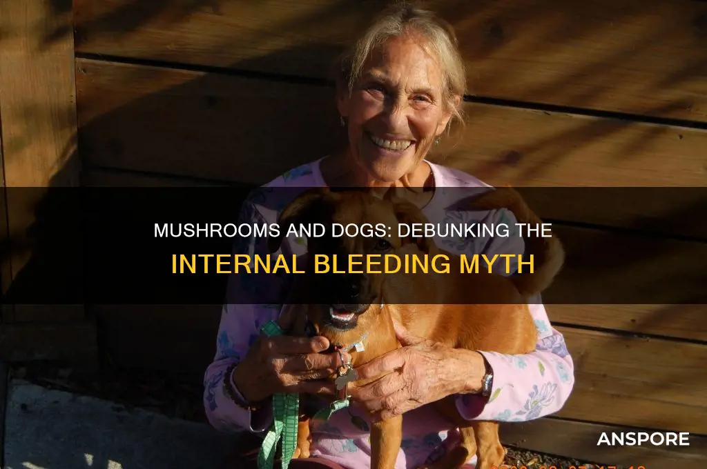 do mushrooms cause internal bleeding in dog