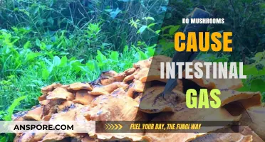 Mushrooms and Gas: What's the Connection?