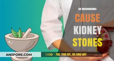 Mushrooms and Kidney Stones: A Risky Relationship