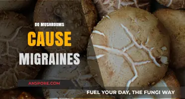 Mushrooms and Migraines: A Triggering Treat?