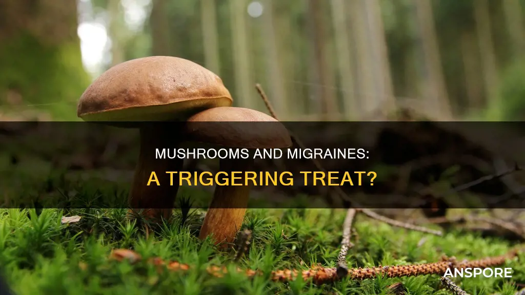 do mushrooms cause migraines