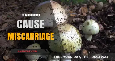Mushrooms: Pregnancy Diet Danger or Safe Superfood?