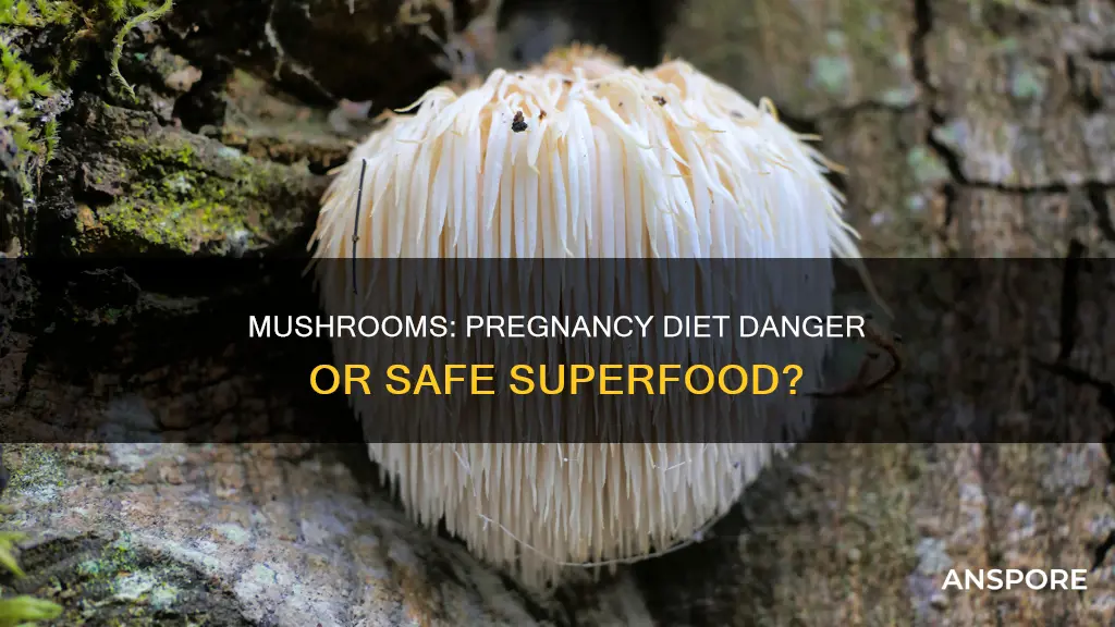 do mushrooms cause miscarriage