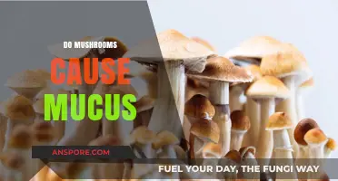Mushrooms and Mucus: Is There a Link?