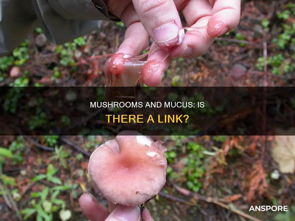 do mushrooms cause mucus
