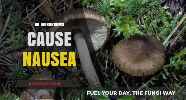 Mushrooms and Nausea: What's the Connection?