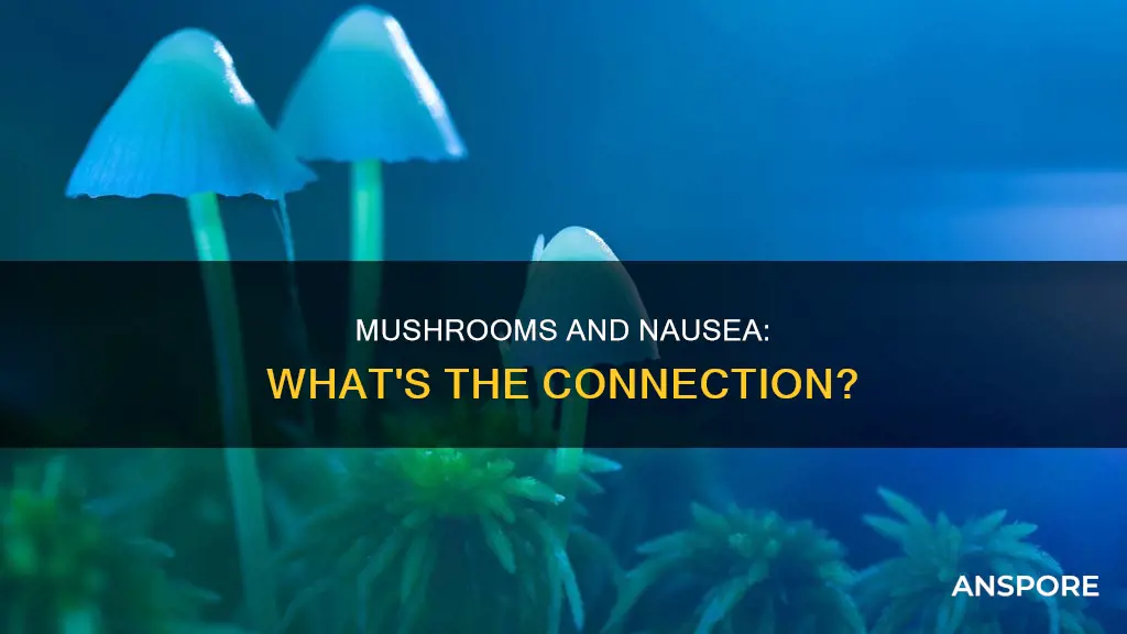 do mushrooms cause nausea