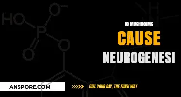 Mushrooms: Neurogenesis and Brain Benefits