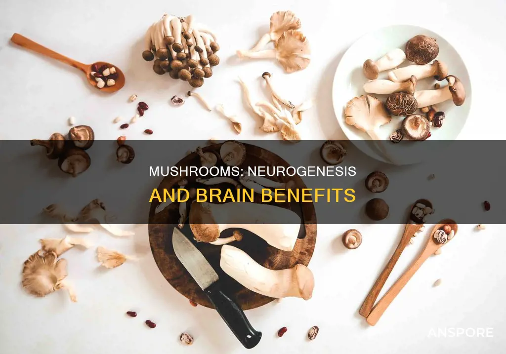 do mushrooms cause neurogenesis