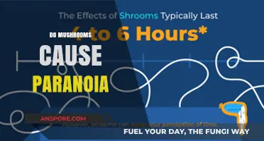 Mushrooms and Paranoia: What's the Link?