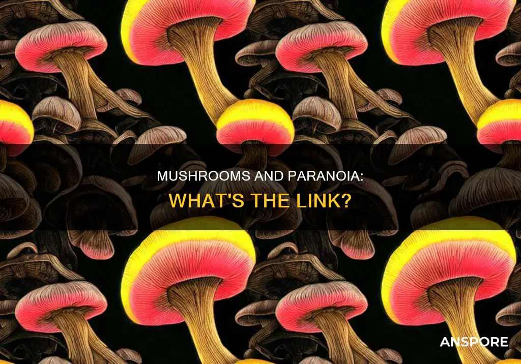 do mushrooms cause paranoia
