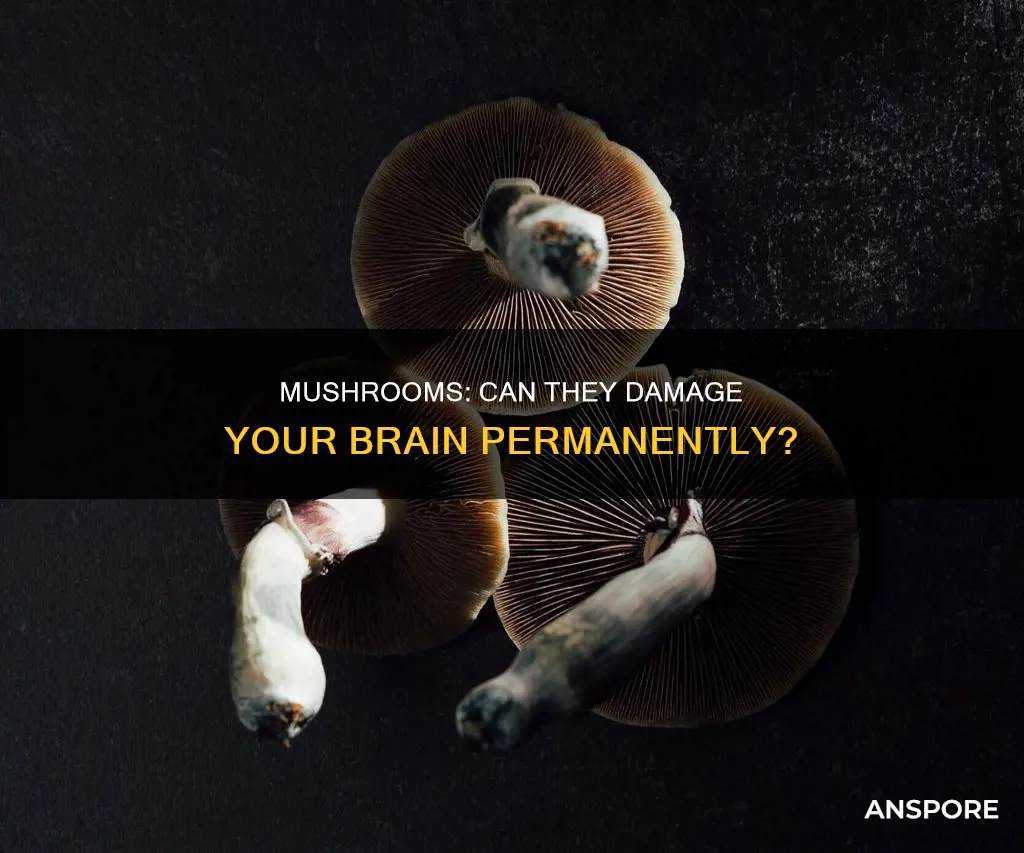 do mushrooms cause permanent damage