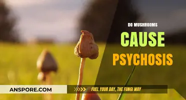 Mushrooms and Psychosis: What's the Link?