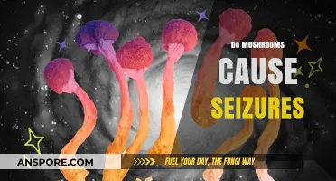 Mushrooms and Seizures: A Dangerous Mix?
