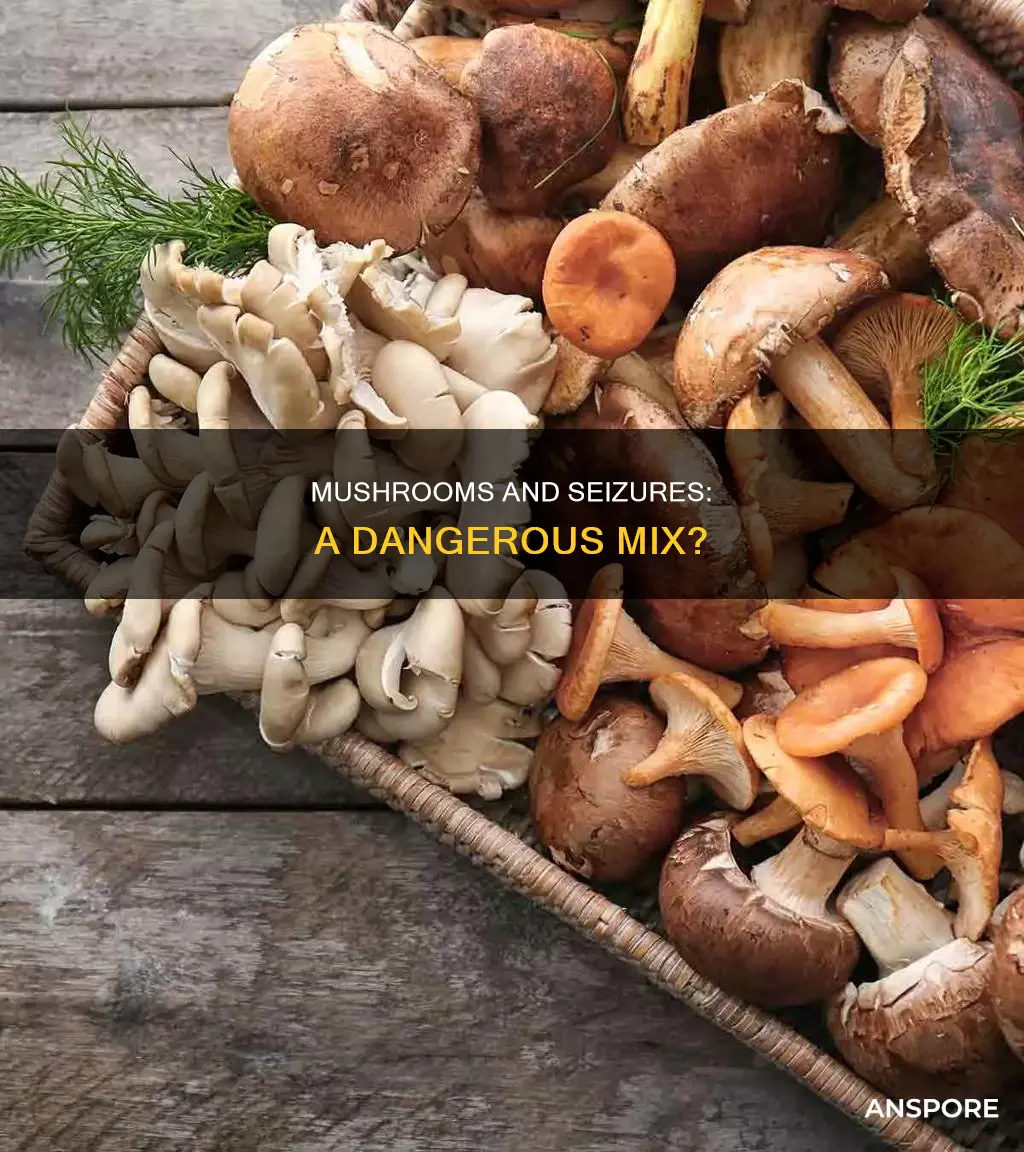 do mushrooms cause seizures