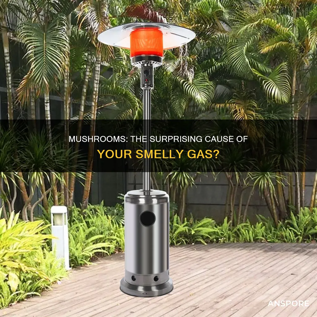 do mushrooms cause smelly gas