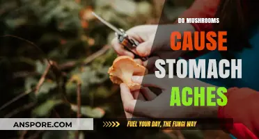 Mushrooms: Upset Stomach or Healthy Gut?