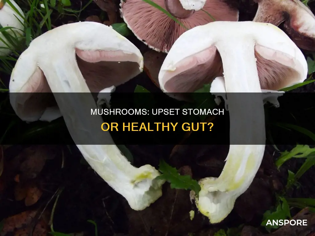 do mushrooms cause stomach aches