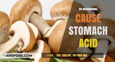 Mushrooms: The Surprising Stomach Acid Culprit