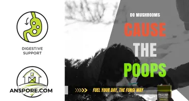 Mushrooms: The Surprising Cause of Your Pooping Problems
