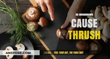 Mushrooms and Thrush: Is There a Connection?