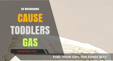 Mushrooms and Toddler Gas: What's the Connection?