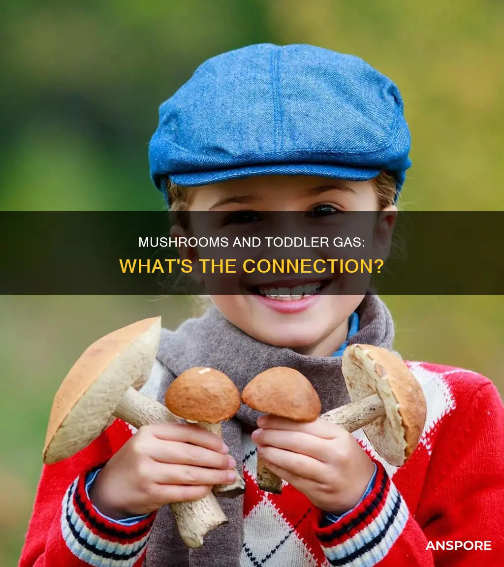 do mushrooms cause toddlers gas