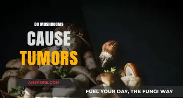 Mushrooms and Tumors: A Link to Cancer?