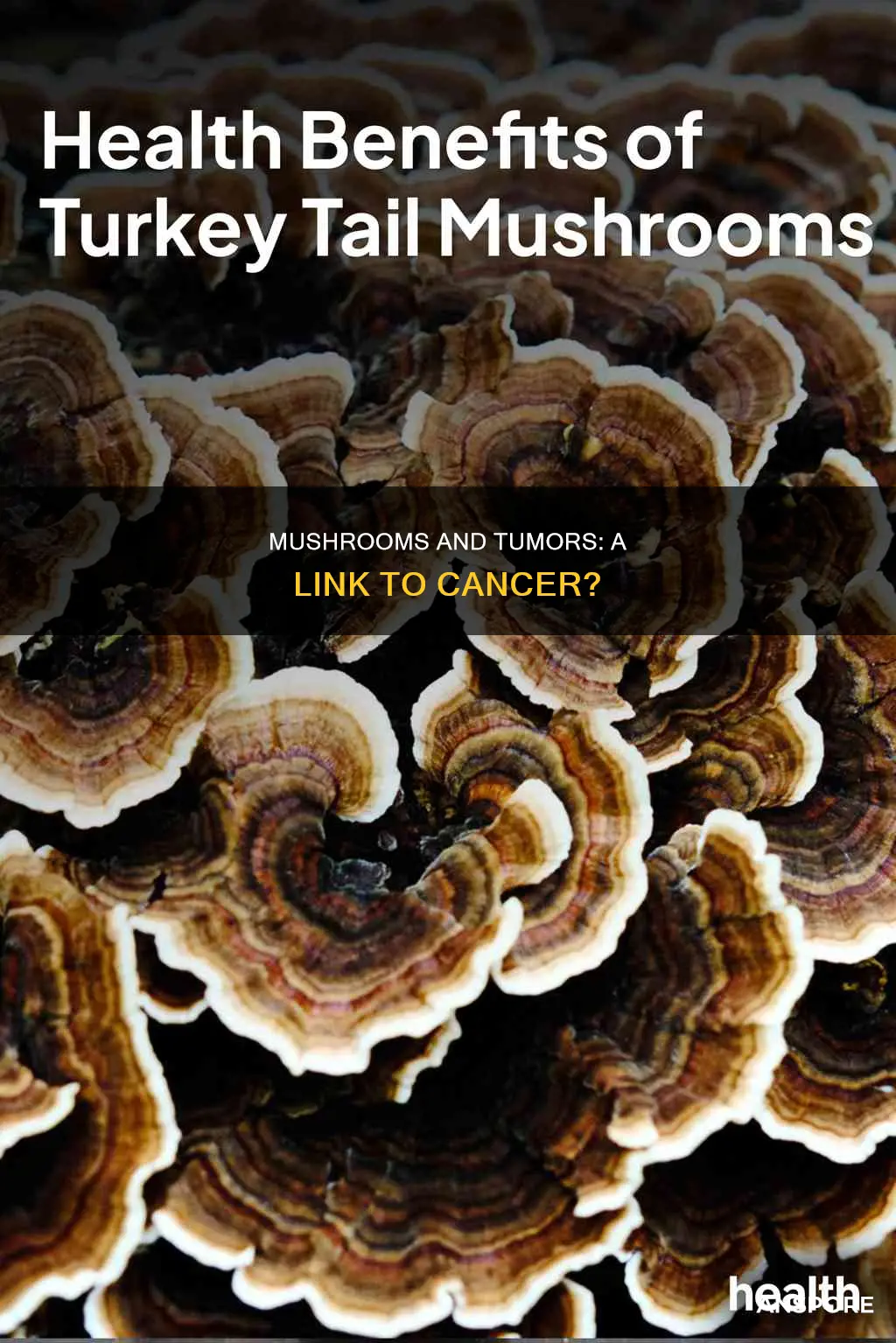 do mushrooms cause tumors