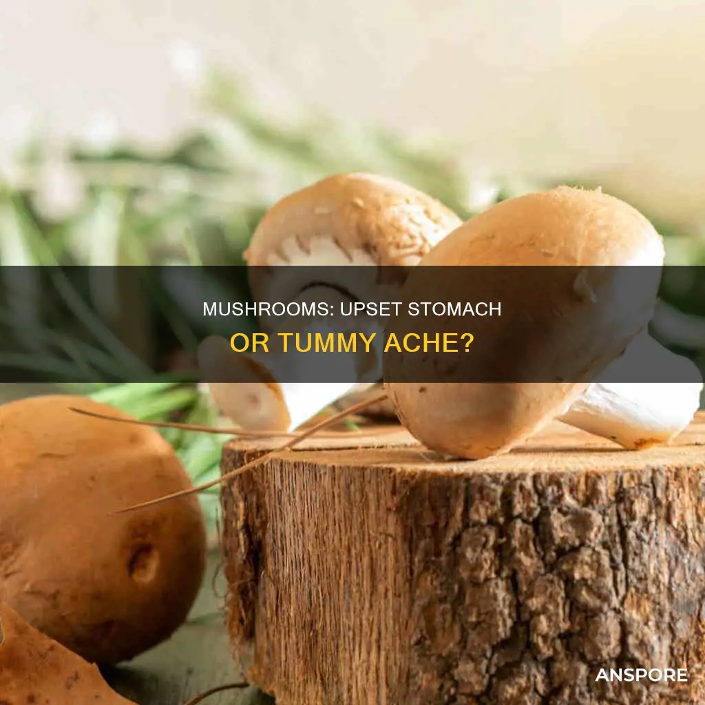 do mushrooms cause upset stomach