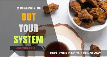 Can Mushrooms Detox Your Body? Exploring Their Cleansing Potential