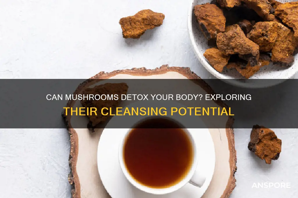 do mushrooms clean out your system