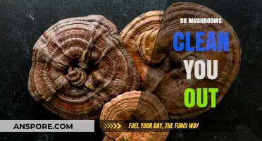 Mushrooms: Nature's Detox for Your Body