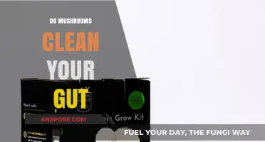 Mushrooms: Gut Health Superfood?