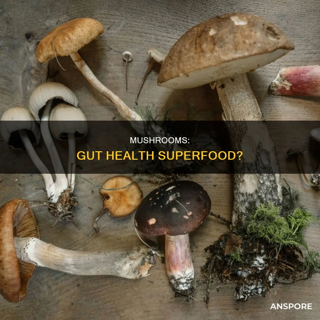 do mushrooms clean your gut
