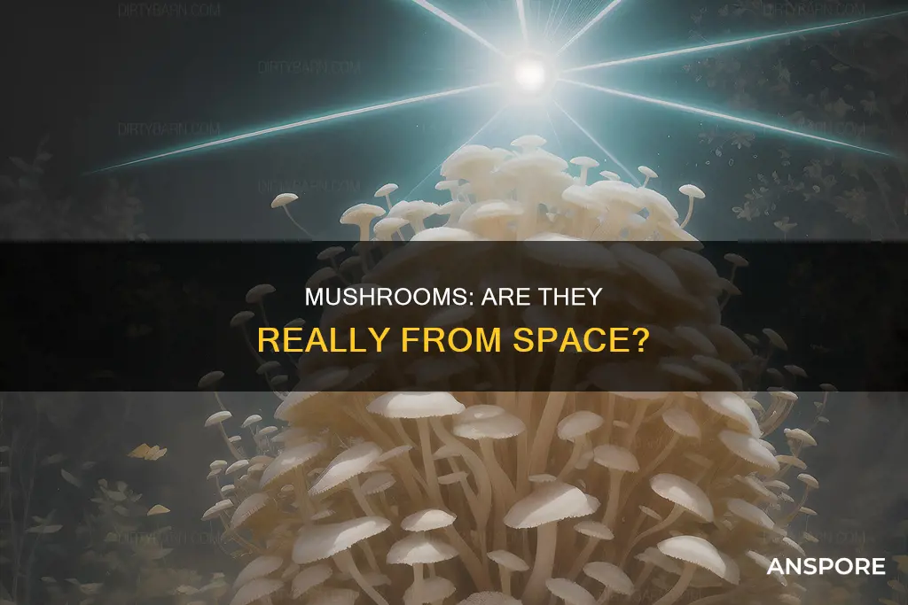 do mushrooms come from space