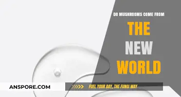 Exploring Mushroom Origins: Did They Emerge from the New World?