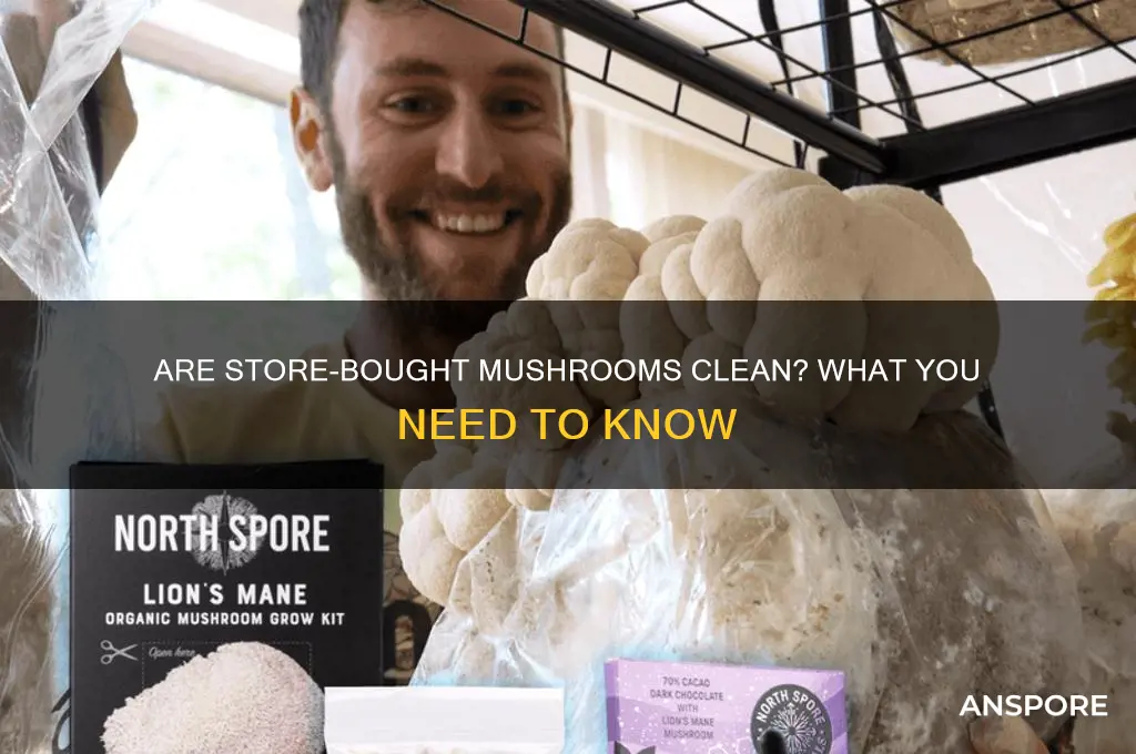 do mushrooms come from the store clean