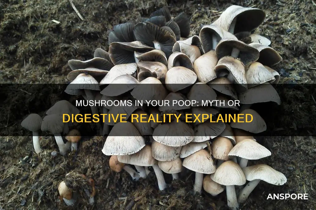 do mushrooms come out in your poop