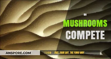 Mushrooms Compete: A Battle for Resources